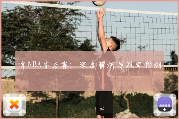 年NBA季后赛：深度解析与冠军预测